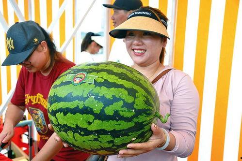 吃瓜观娱乐,吃瓜群众视角下的明星八卦